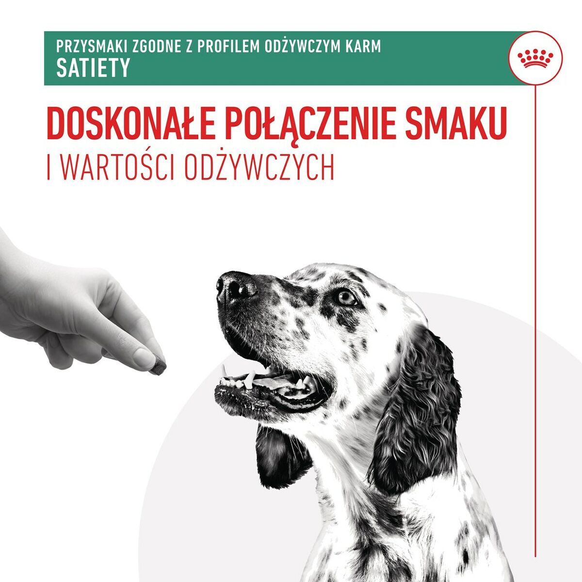 Dog Snack Royal Canin Dog Satiety Treats 230 g-6